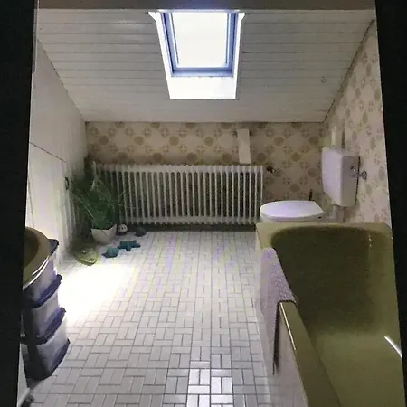 Frank Apartment Merzalben